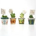 see more listings in the Wedding Favor Succulent section