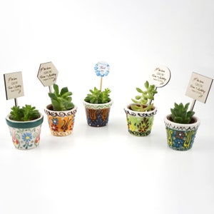 Bomboniere succulente per baby shower, vasi in ceramica, regali personalizzati per addio al nubilato, bomboniere all&#39;ingrosso, bomboniere floreali per matrimonio, bomboniere per feste di matrimonio