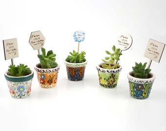 Baby Shower Succulent favors, Ceramic pot, Customized Bridal Shower Gift, Wedding Favors in Bulk, Flower Wedding Favors,Party Favors Wedding