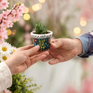 May include: A small green succulent plant potted in a decorative ceramic container. The pot features a dark teal base with hand-painted yellow, red, and white floral patterns and a white scalloped rim, held between two hands.
