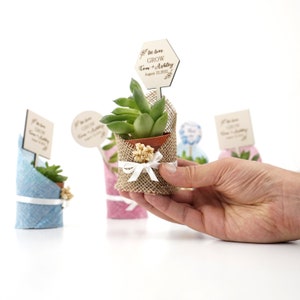 Sukkulenten Geschenk, Hochzeit Gefälligkeiten für Gäste, Sukkulente Brautparty, personalisierte Leinwand für Hochzeit Gefälligkeiten, Hochzeit Gefälligkeiten Sukkulenten