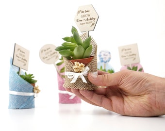 Succulent Gift, Wedding Favors for Guests, Succulent Bridal Shower,Personalized Burlap for wedding favors , Wedding Favors succulent