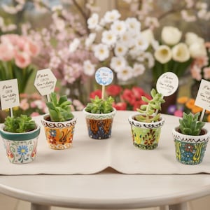 May include: Five small ceramic pots with colorful floral patterns, each containing a green succulent plant. Each pot features a wooden pick with a sign, including text that reads "Let love GROW Tom + Ashley August 22, 2025" or "Thank you."