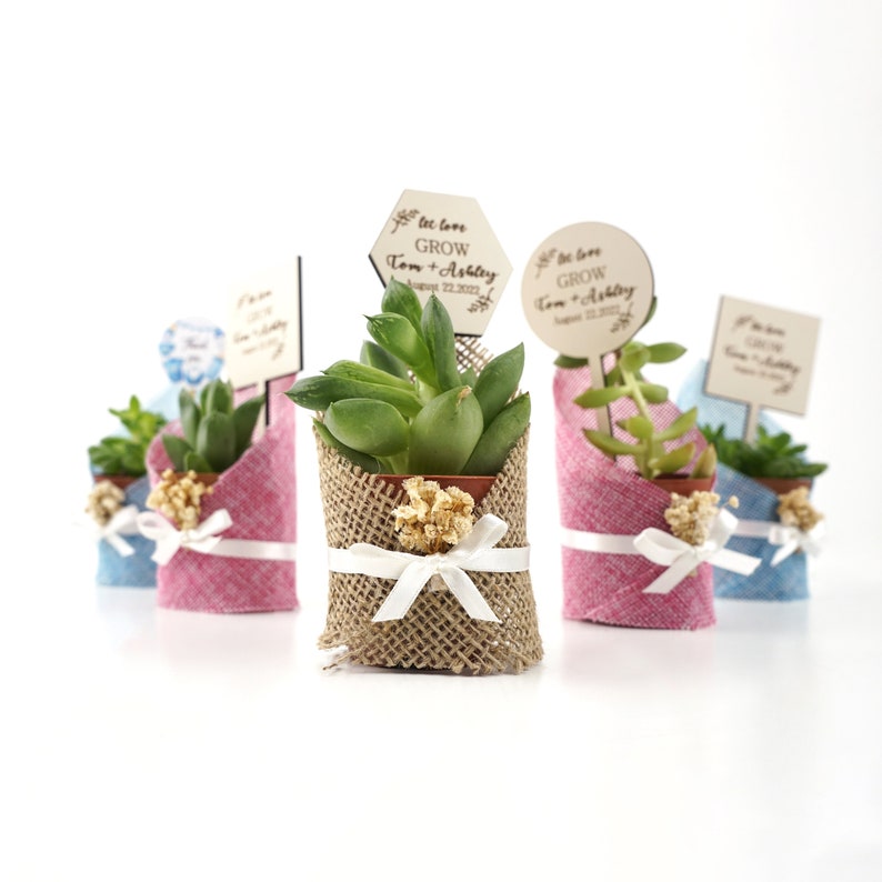 Succulent Gift, Wedding Favors for Guests, Succulent Bridal Shower,Personalized Burlap for wedding favors , Wedding Favors succulent image 2