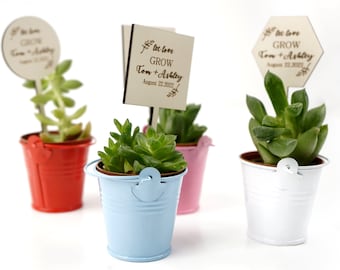 Succulent Wedding Favor for Guest Bulk, Tin Pail Mini Colorful Bucket with Handle, Wedding Favors, Succulent Gift,Party Favors