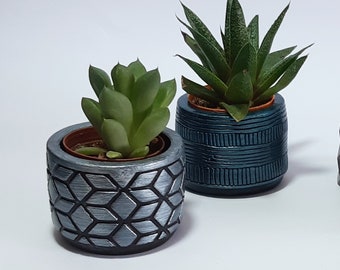 Succulent Gift, Succulent Pots for Wedding Favors, Gift for Guest,  Baby Shower Succulent Gift, Briadmaid Favors succulent