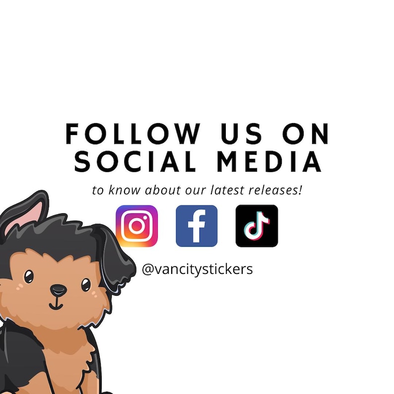 Puede incluir: S&iacute;guenos en las redes sociales para conocer nuestros &uacute;ltimos lanzamientos. Se muestran los iconos de Instagram, Facebook y TikTok con el nombre de usuario @vancitystickers.