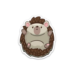 Hedgehog On Back Sticker | Cute Cartoon Pet Animal | Waterproof, Vinyl and Dishwasher Safe | Laptop, Water bottle, Notebook, Tumbler
