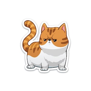 Exotic Shorthair Sticker | Cute Orange Grumpy Kitten Cat Decal | Waterproof, Vinyl and Dishwasher Safe | Gifts For Friends, Moms, Owners