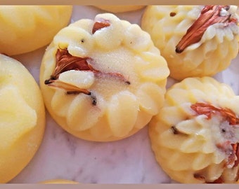 Summer's Day Castile Cure Hair and Body Shampoo Soap, Plant based for sensitive skin, Pre-order