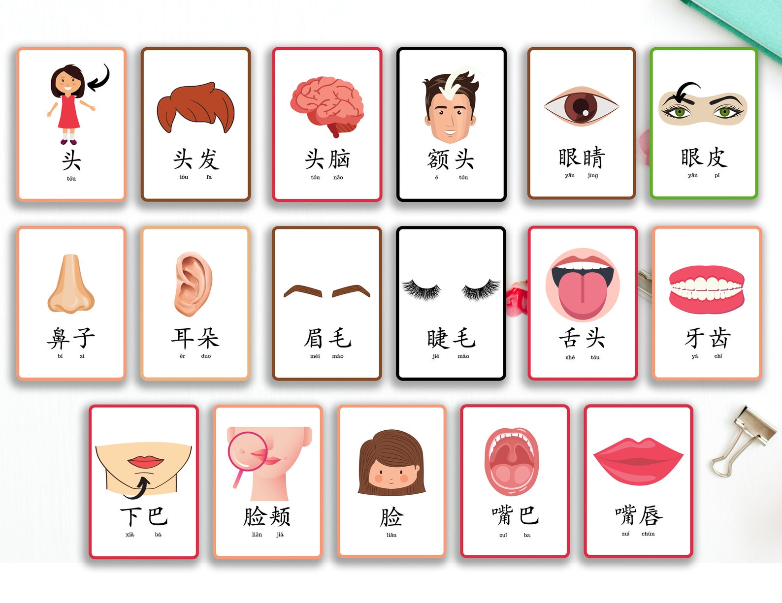 body-parts-chinese-flash-cards-printable-mandarin-head-flash-etsy-italia