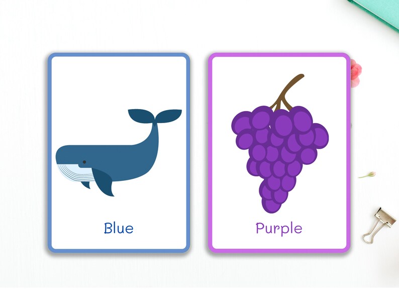 Printable Colour Flash Cards | 11 Animal Colour Flash Cards for ...