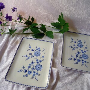 2 Servier Platten Strohblume von Seltmann Weiden aus den 1980er Jahren, Servierplatte, Obst Teller, Servierteller  - Vintage