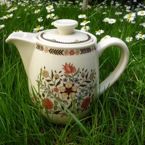 Könnte beinhalten: Cremefarbene Keramik-Teekanne mit Deckel, Henkel und Ausguss. Verziert mit floralen Mustern in Orange, Rosa, Blau und Braun. Sie steht in grünem Gras und weißen Gänseblümchen. Ein schönes Küchenaccessoire.