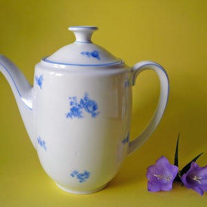 Könnte beinhalten: Weiße Porzellan-Teekanne mit blauen Blumenmustern und passendem Deckel. Die Teekanne hat einen gebogenen Ausguss und Henkel mit blauem Rand. Zwei violette Glockenblumen liegen neben der Teekanne.