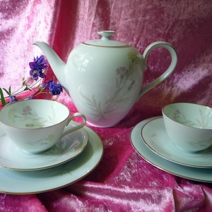May include: A white porcelain teapot and two teacups with matching saucers. The teapot and cups feature a delicate floral design with green leaves and pink flowers. The set is displayed on a pink velvet surface.