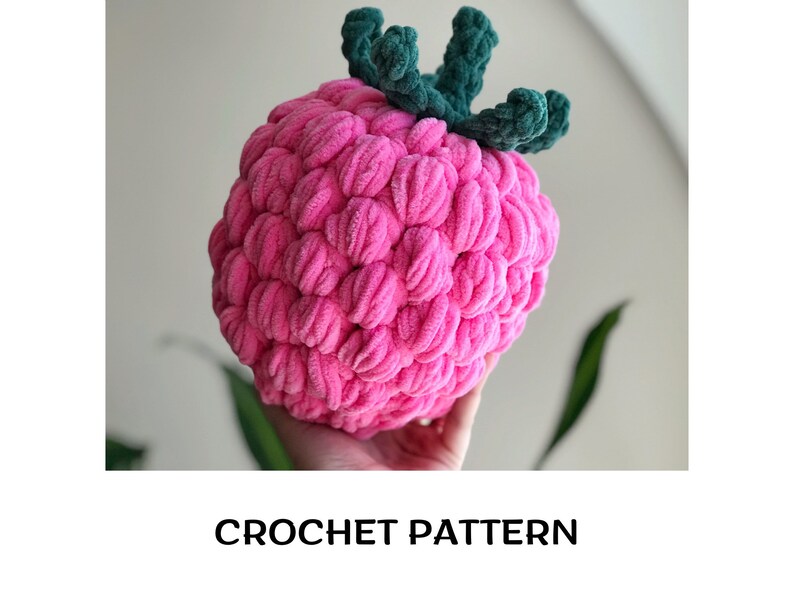 Giant Raspberry Crochet Pattern PDF Crochet Berry Pattern Etsy