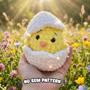 NO SEW Chick in Egg Shell crochet pattern PDF Easter Eggs Amigurumi Chick pattern
