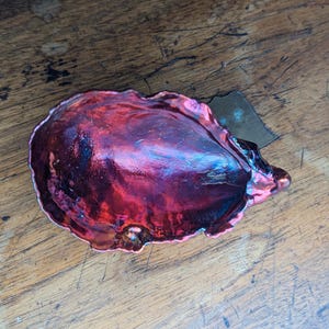 Real Oyster Shell Copper Bowl, Copper Shell Bowl, Electroformed  Copper Shell Bowl, Jewellery Dish, Ornamental Dish,