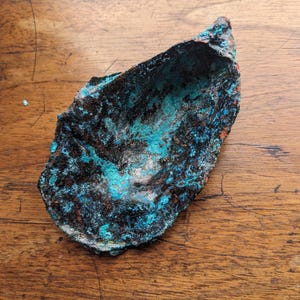 Real Oyster Shell Copper Bowl, Copper Shell Bowl, Electroformed  Copper Shell Bowl, Jewellery Dish, Ornamental Dish,