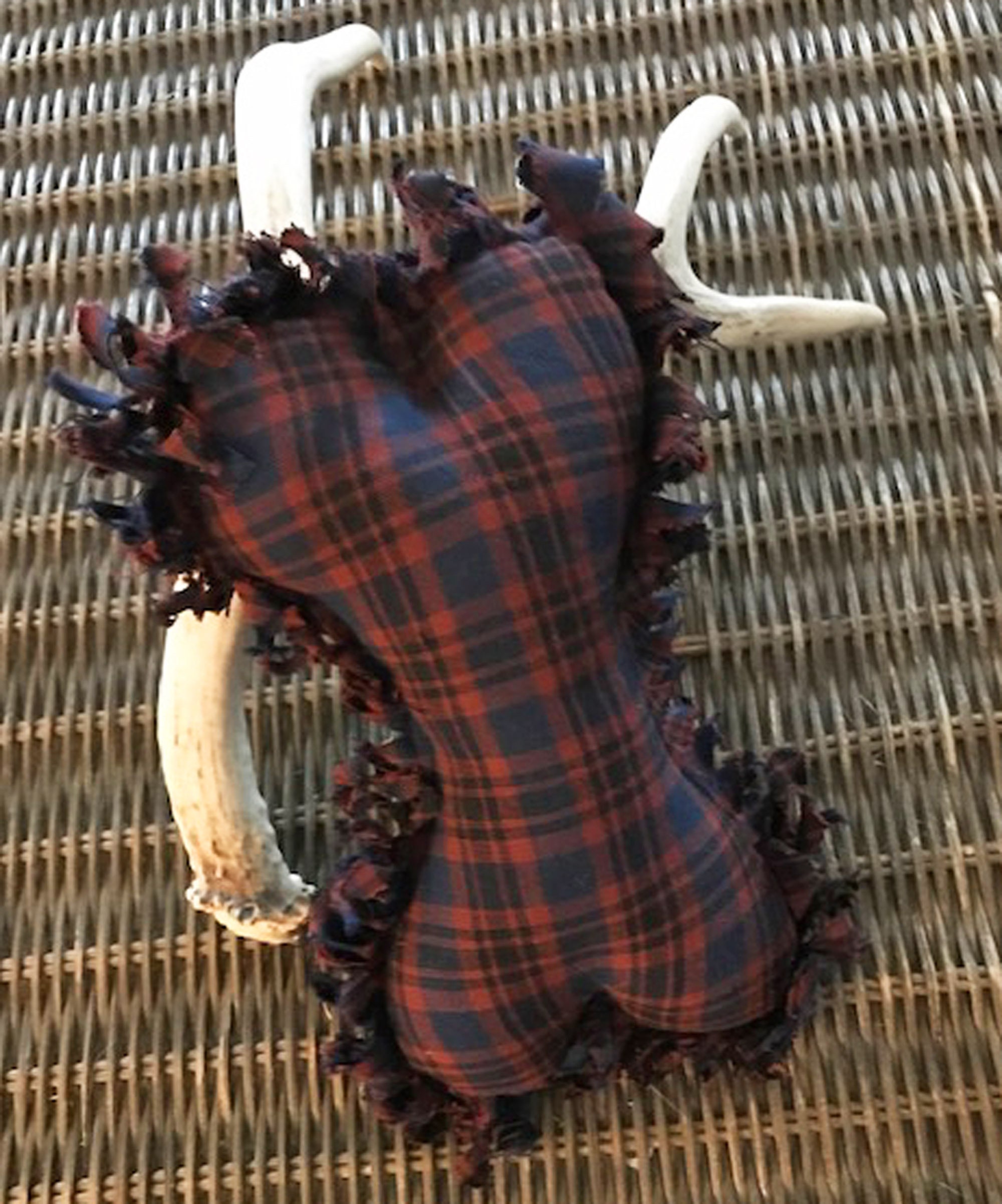 Dog Bone Fabric Toy Dog Gift NO Squeaker Plaid Fabric Etsy UK
