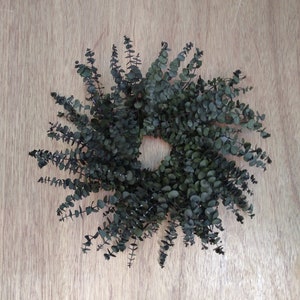 Dried Wreath, Frosted Green Eucalyptus Wreath, Indoor Decor Wreath