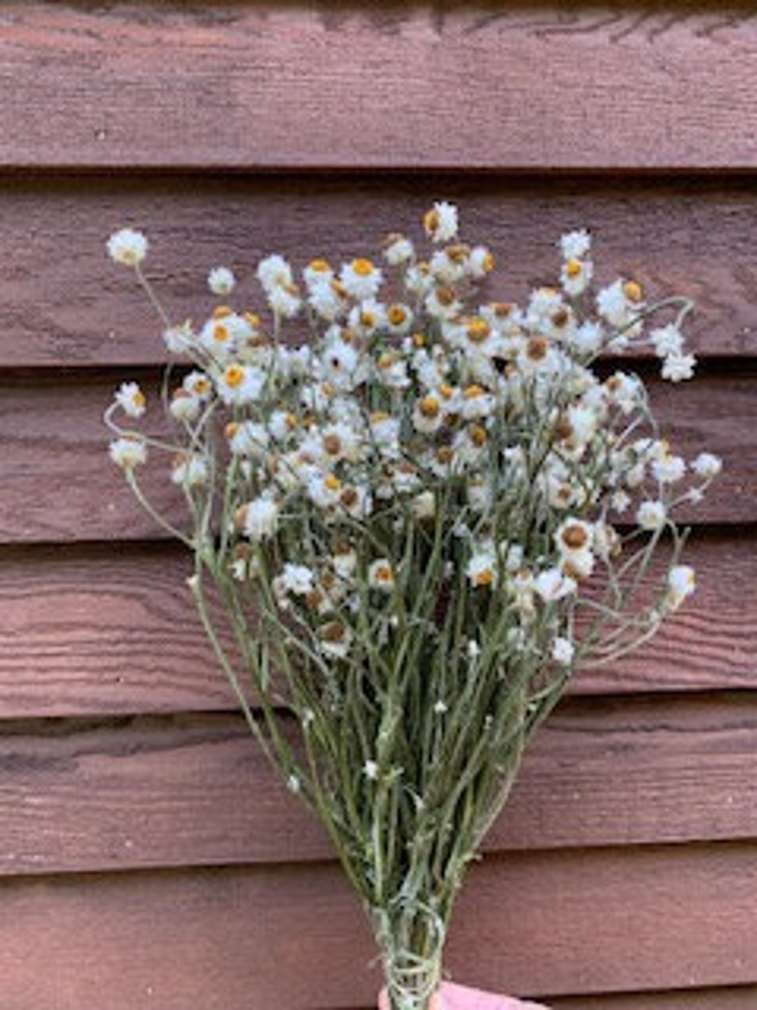 Dried Flowers, Dried White Flowers, Wedding Bouquet Flowers, Home Dried