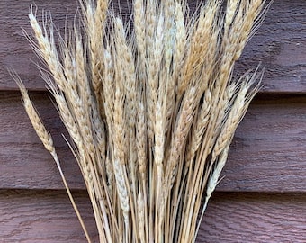 Dried Flower, Gold Wheat, Wedding Decor, Home Decor
