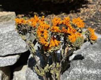 Dried Sunflowers, Fall Flowers, Wedding Flowers, Flowers for the Home