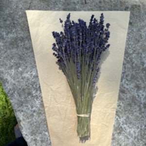 English Lavender, Dried Lavender Bundle, Lavender for the Home, Wedding Lavender