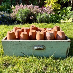 May include: A selection of small terracotta plant pots are stored in a distressed, pale blue wooden box. The box, with a metal handle, rests on green grass, with a garden and plants in the background.