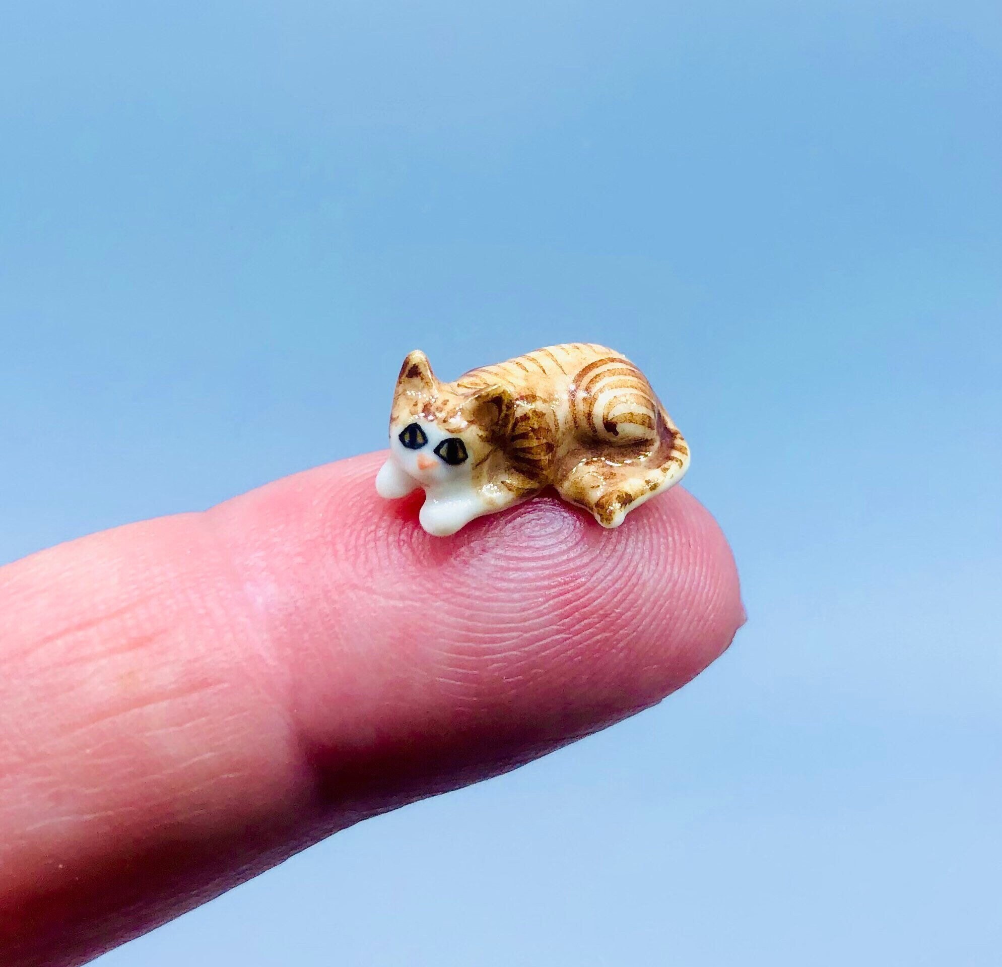 Smallest Kitten In The World