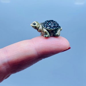 Custom Vivarium for a Tiny Baby Tortoise : r/DIY