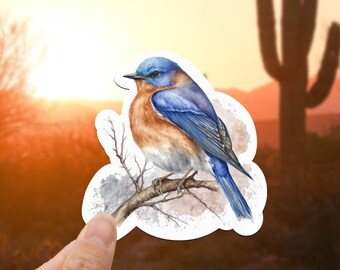 May include: A bluebird with a blue head and back, an orange breast, and a long tail, perched on a branch against a sunset background.