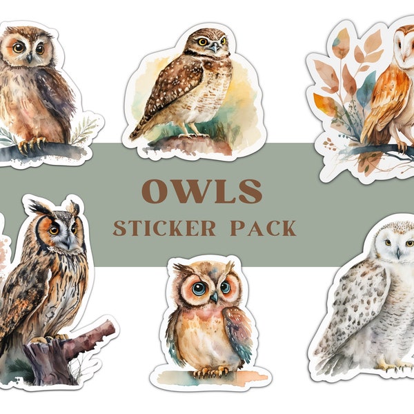 Owls Sticker Bundle, Watercolor Woodland Owls Pack, Cute Burrowing Owl, Barn Owl, Snowy Owl Sticker Set, Cottagecore Nursery Owl Vinyl Decal