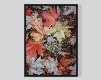 Australian nature print, Autumn leaves art, Digital Download, Wall decor, Nature Photo Art, Nature Digital Print, Gift Idea, Leaves Decor