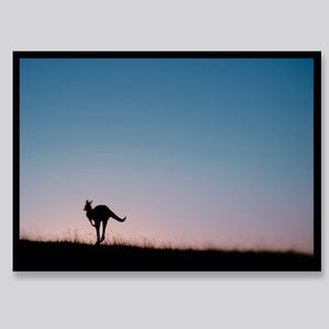 Kangaroo print, Printable Kangaroo Photo Print, Large Poster Safari, Kangaroo Photo Art, Digital Download, Animal Photo, Australian Animal