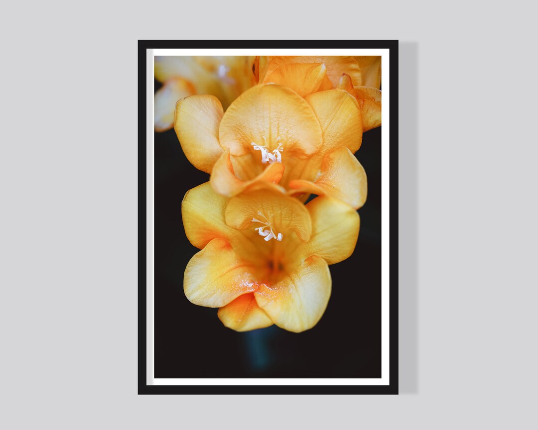 Floral Wall Art Yellow Flower Photo Floral Home Decor Etsy