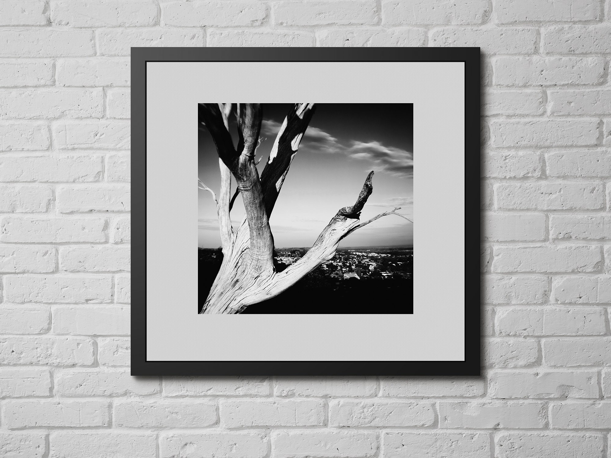 Set of 2 Prints Black White Photo Australian nature print | Etsy