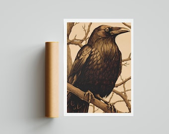 Vintage Crow Bird Print – Gothic Raven Wall Art | Antique Nature Illustration | Dark Academia Home Decor
