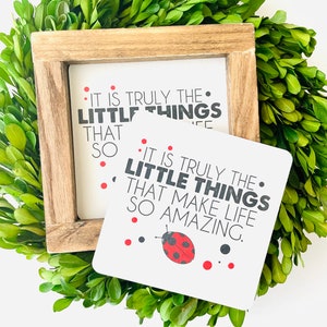 May include: A square wooden sign and coaster with the text "IT IS TRULY THE LITTLE THINGS THAT MAKE LIFE SO AMAZING." The coaster features a ladybug graphic and red dots. The items are surrounded by a green leafy wreath.