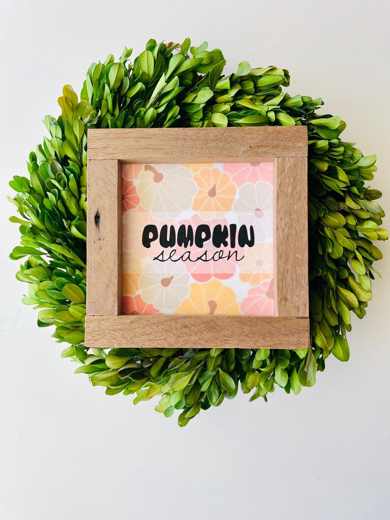 May include: A wooden framed sign with a peach, orange, and white pumpkin pattern and the text "pumpkin season" in black.