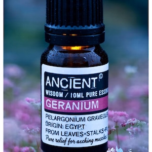 Puede incluir: Una botella de vidrio ámbar oscuro de aceite esencial de geranio Ancient. La etiqueta incluye el texto "Ancient Wisdom" y "10ml Pure Essence". La etiqueta también indica que el origen es Egipto y que el aceite proviene de hojas y tallos. También es visible el texto "Pure relief for aching muscles".