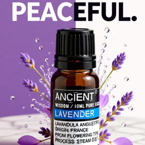Può includere: Una bottiglia di vetro marrone di olio essenziale di lavanda Ancient con un tappo nero. L'etichetta recita "Lavender" e "10ml Pure Ess." Rami e petali di lavanda viola circondano la bottiglia su uno sfondo viola. Le parole "Pure. Potent. Peaceful." sono in alto.