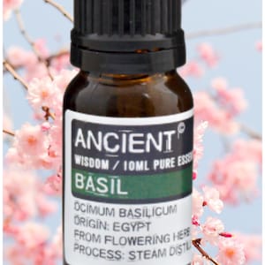 Può includere: Una piccola bottiglia di vetro marrone di olio essenziale di basilico con tappo nero. L'etichetta recita "ANCIENT WISDOM / 10ML PURE ESSENCE BASIL". Origine Egitto, da erbe in fiore, distillato a vapore. Fiori rosa sullo sfondo.