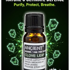 May include: A brown glass bottle of clove leaf essential oil with a black cap. The label reads "ANCIENT" and "CLOVE LEAF". The text "NATURE'S ULTIMATE DEFENSE" and "Purify, Protect, Breathe" are at the top. The bottle is surrounded by green geometric shapes.