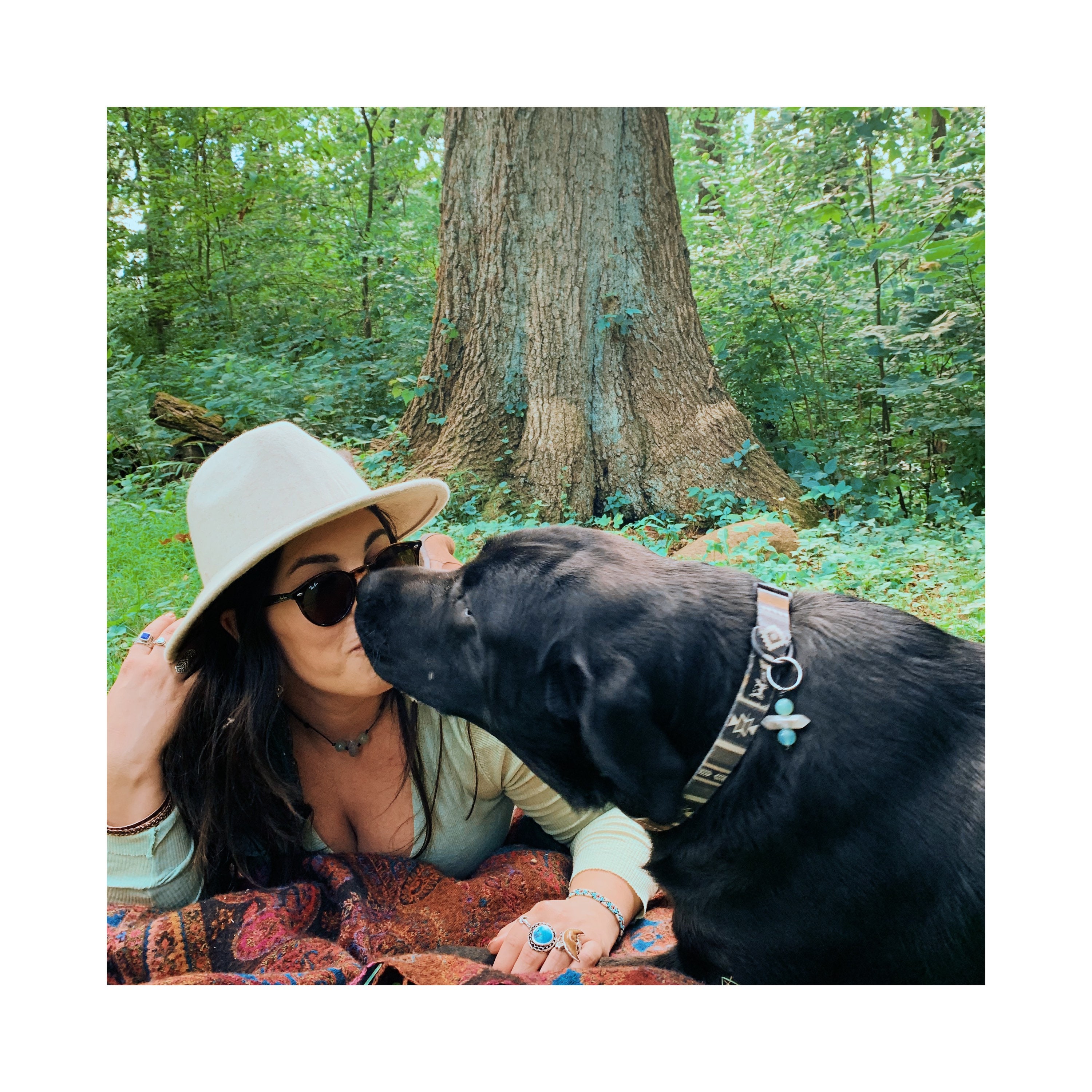 Cosmic Collar Connection Bundle crystal healing collar dog Etsy