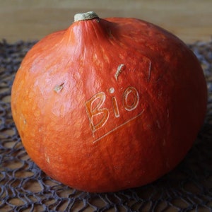 20 BIO Hokkaido pumpa I Röd Kuri japansk squash I Uchiki Kuri frön