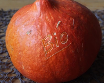 ZUCCA - UCHIKI KURI - HOKKAIDO - Foto 8