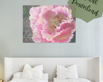 Arte floral, Tulipán, Impresión fotográfica, Regalos, Regalos para ella, Decoración del hogar, Arte de pared, Foto de tulipán, Arte elegante, Arte simple